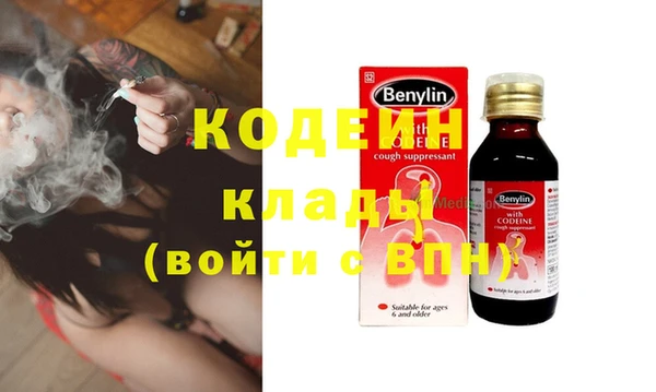 гашик Арсеньев