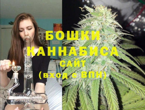 гашик Арсеньев