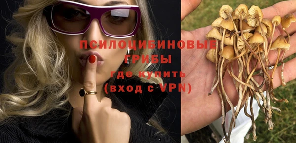 молекула духа Армянск