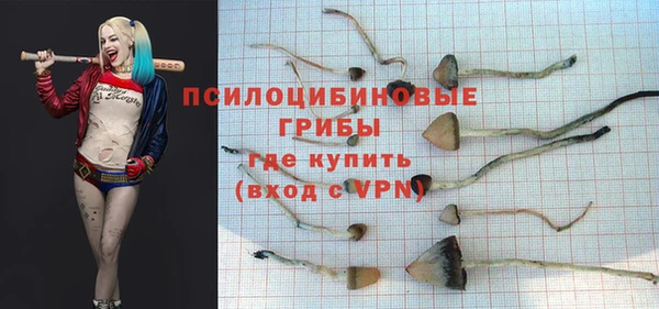 молекула духа Армянск