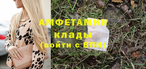 гашик Арсеньев