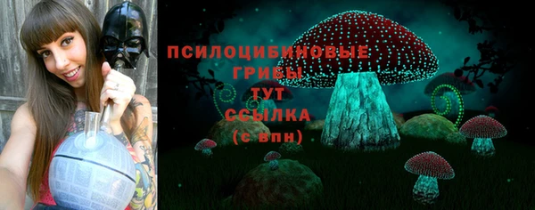 молекула духа Армянск