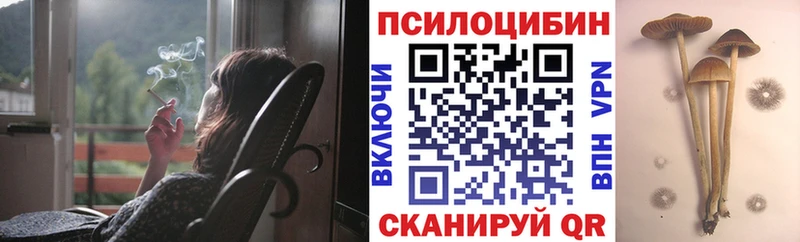 Галлюциногенные грибы прущие грибы  купить наркоту  блэк спрут как зайти  Баймак 